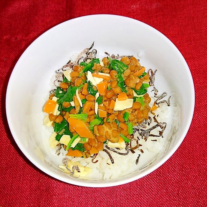 お昼はこれで完結!野菜たっぷり納豆丼